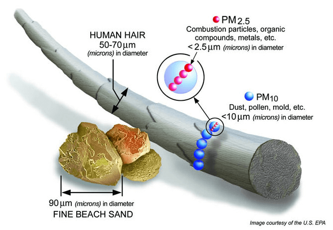 particulate matter particle size